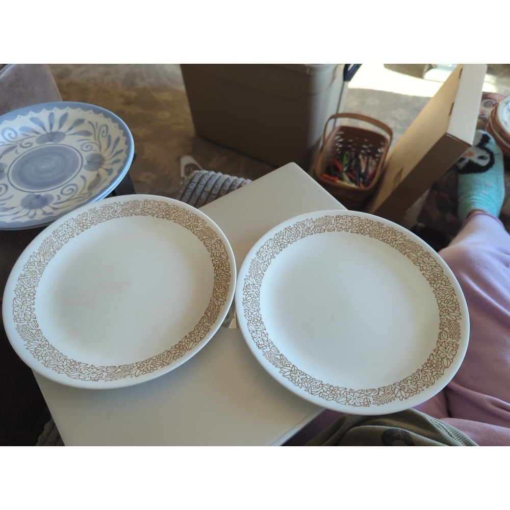 2 Corning Corelle Woodland Brown Luncheon/Salad Plates